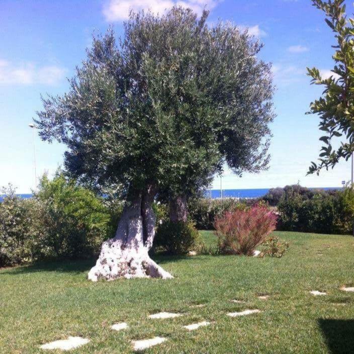 Nel Blu Dipinto Di Blu Villa Polignano a Mare Exterior foto